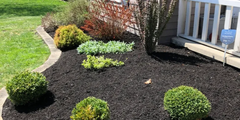 Improving Front Yard Curb Appeal