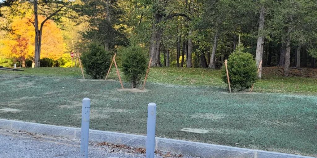 best time to hydroseed in western NY